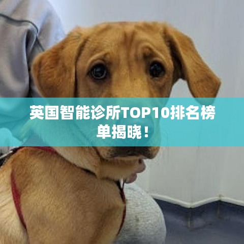 英國智能診所TOP10排名榜單揭曉!