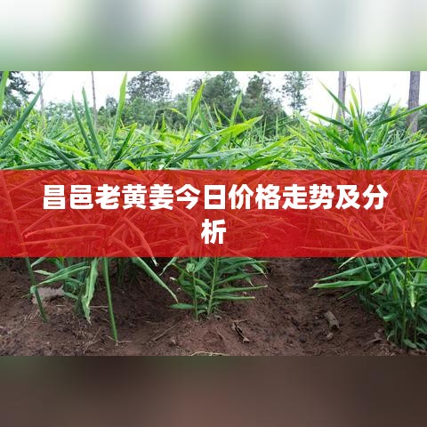 飛鳥驚蛇 第2頁