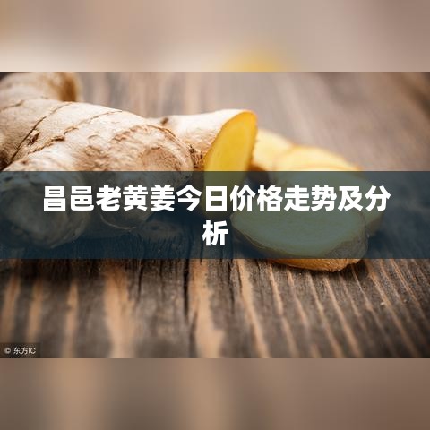 昌邑老黃姜今日價(jià)格走勢及分析