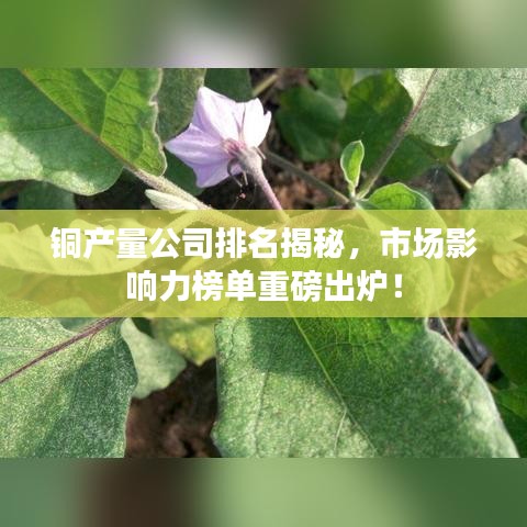 銅產量公司排名揭秘，市場影響力榜單重磅出爐！