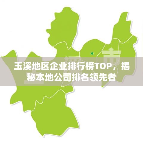 玉溪地區企業排行榜TOP,揭秘本地公司排名領先者