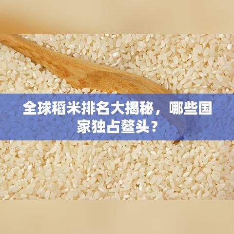 全球稻米排名大揭秘,哪些國家獨占鰲頭?