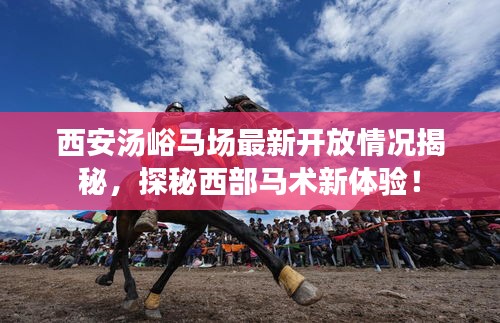 西安湯峪馬場最新開放情況揭秘,探秘西部馬術新體驗!