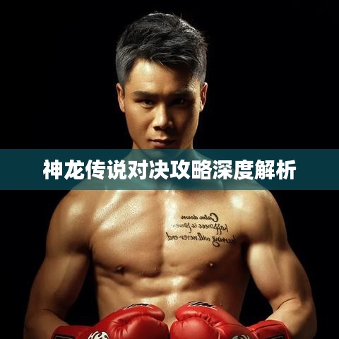 神龍傳說對決攻略深度解析