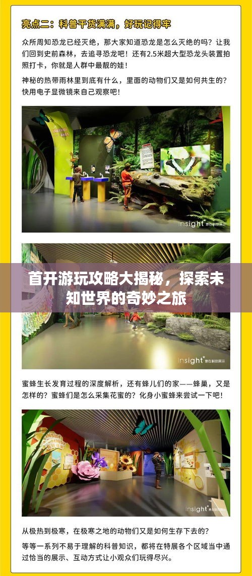 首開游玩攻略大揭秘，探索未知世界的奇妙之旅