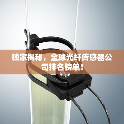 獨(dú)家揭秘,全球光纖傳感器公司排名榜單!