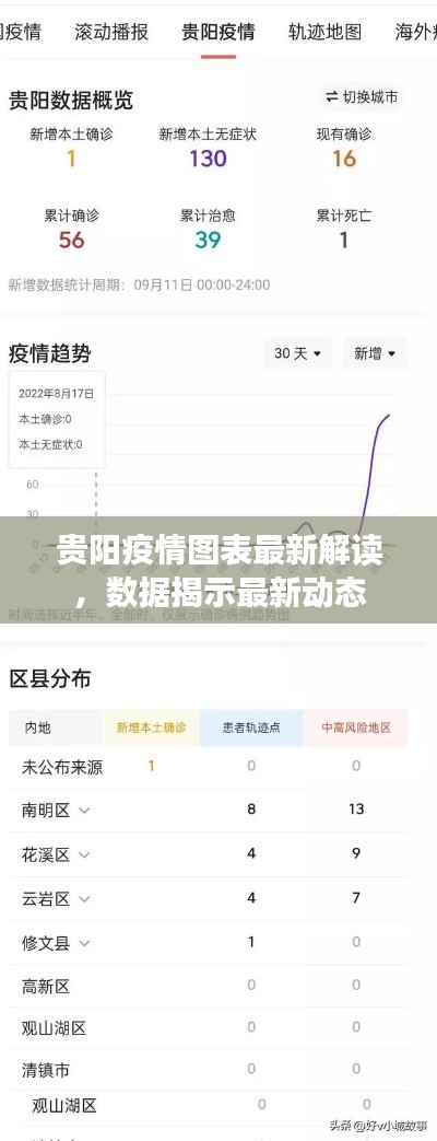 貴陽疫情圖表最新解讀，數據揭示最新動態