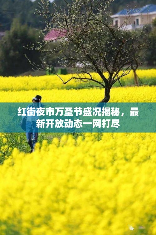 紅街夜市萬圣節盛況揭秘,最新開放動態一網打盡