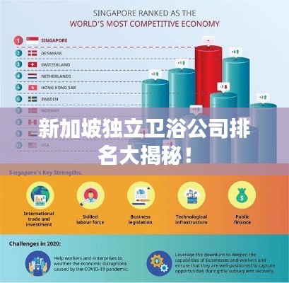 新加坡獨立衛浴公司排名大揭秘！