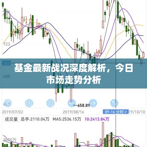 基金最新戰(zhàn)況深度解析，今日市場(chǎng)走勢(shì)分析