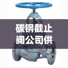 碳鋼截止閥公司供應排名榜單揭曉！