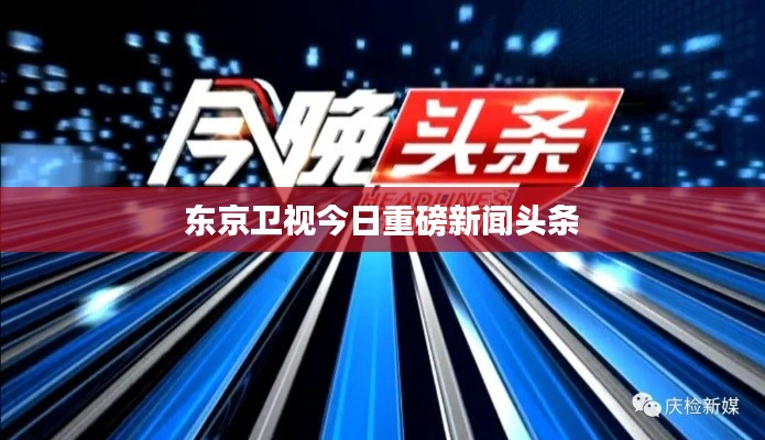 東京衛(wèi)視今日重磅新聞?lì)^條
