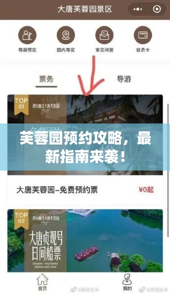 芙蓉園預約攻略,最新指南來襲!