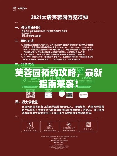 芙蓉園預約攻略,最新指南來襲!