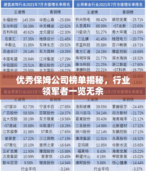 優(yōu)秀保姆公司榜單揭秘，行業(yè)領軍者一覽無余