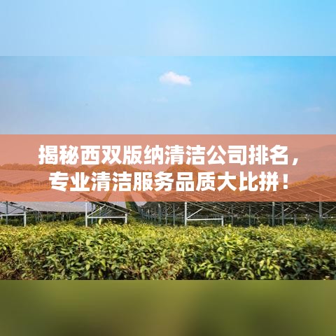 揭秘西雙版納清潔公司排名，專業(yè)清潔服務(wù)品質(zhì)大比拼！