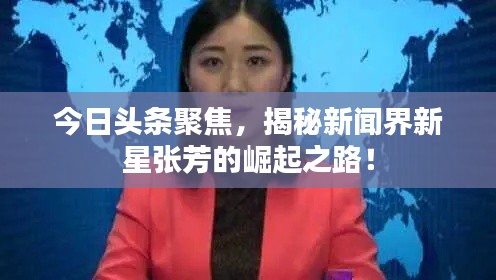 今日頭條聚焦,揭秘新聞界新星張芳的崛起之路!