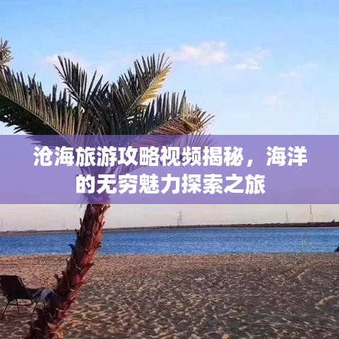 滄海旅游攻略視頻揭秘,海洋的無窮魅力探索之旅