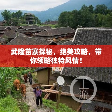 武隆苗寨探秘,絕美攻略,帶你領略獨特風情!