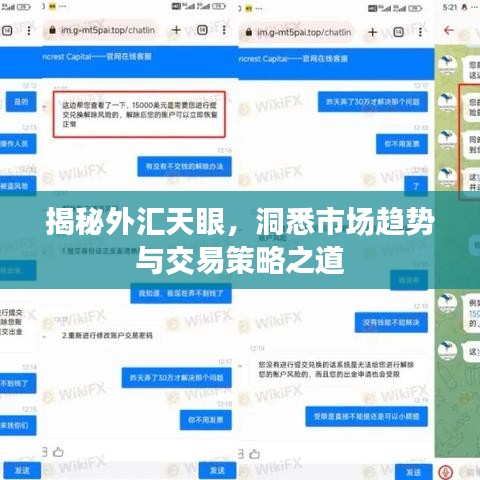 揭秘外匯天眼，洞悉市場趨勢與交易策略之道