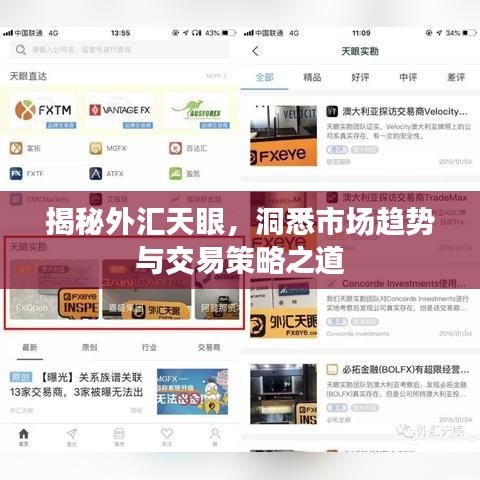 揭秘外匯天眼,洞悉市場趨勢與交易策略之道