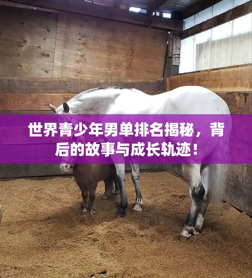 世界青少年男單排名揭秘，背后的故事與成長軌跡！