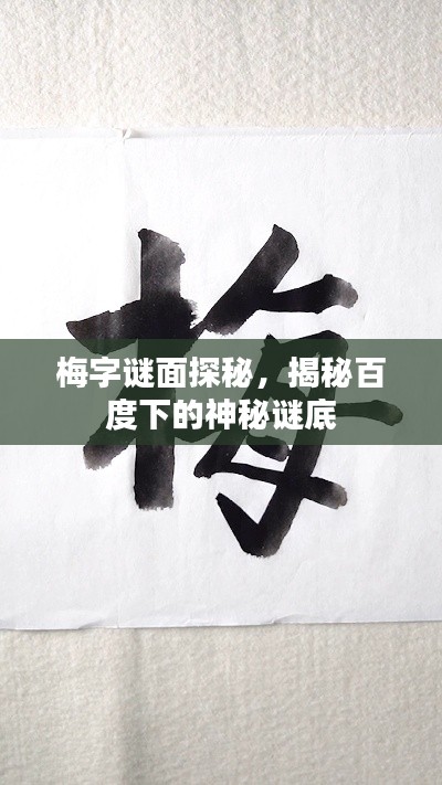 梅字謎面探秘，揭秘百度下的神秘謎底