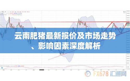云南肥豬最新報價及市場走勢、影響因素深度解析