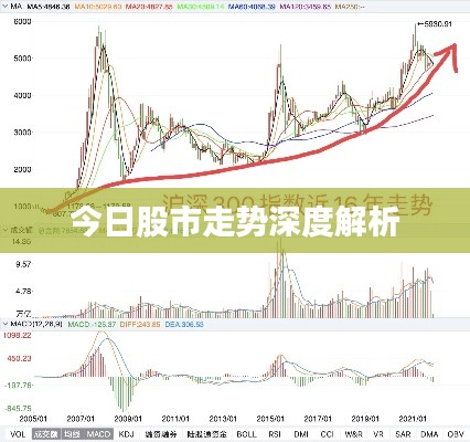今日股市走勢深度解析