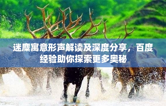 迷麋寓意形聲解讀及深度分享，百度經驗助你探索更多奧秘