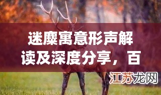 迷麋寓意形聲解讀及深度分享,百度經(jīng)驗(yàn)助你探索更多奧秘