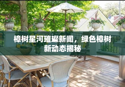 樟樹星河璀璨新聞,綠色樟樹新動態揭秘