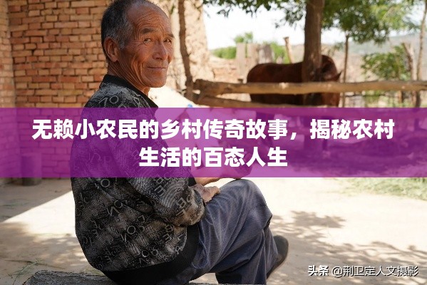 無賴小農民的鄉村傳奇故事,揭秘農村生活的百態人生