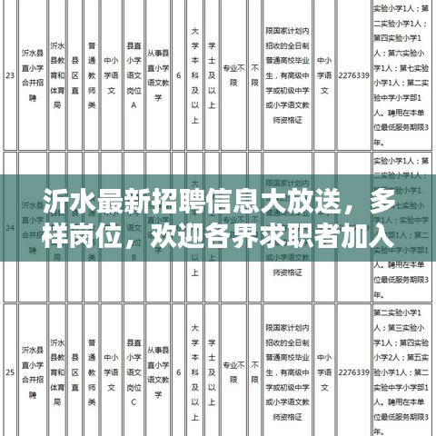 沂水最新招聘信息大放送，多樣崗位，歡迎各界求職者加入，年齡至55歲
