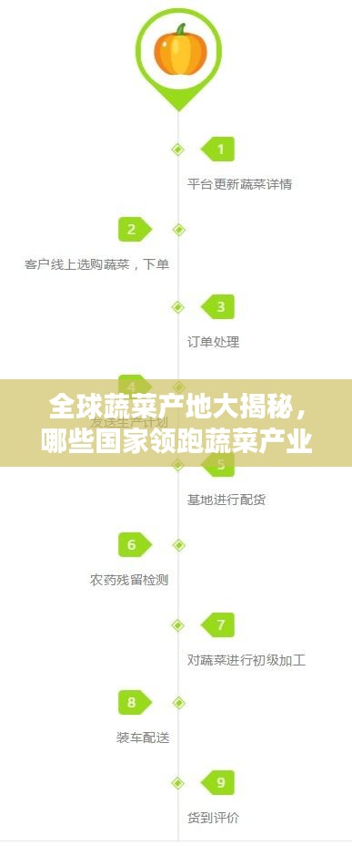 全球蔬菜產地大揭秘，哪些國家領跑蔬菜產業榜單？