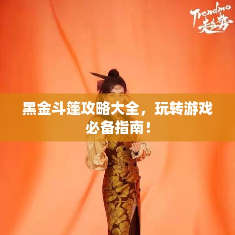 黑金斗篷攻略大全,玩轉游戲必備指南!