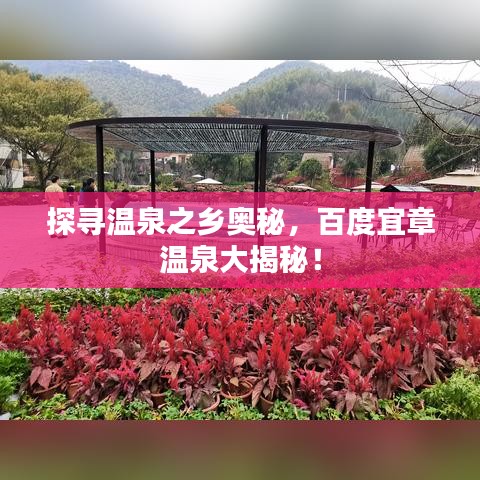 探尋溫泉之鄉奧秘，百度宜章溫泉大揭秘！