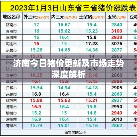 濟(jì)南今日豬價(jià)更新及市場走勢深度解析