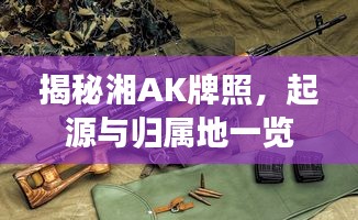 揭秘湘AK牌照，起源與歸屬地一覽