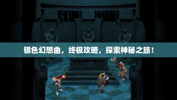 銀色幻想曲,終極攻略,探索神秘之旅!