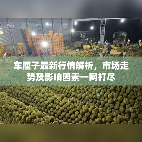 車厘子最新行情解析,市場走勢及影響因素一網打盡