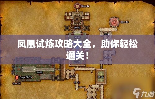 鳳凰試煉攻略大全,助你輕松通關!