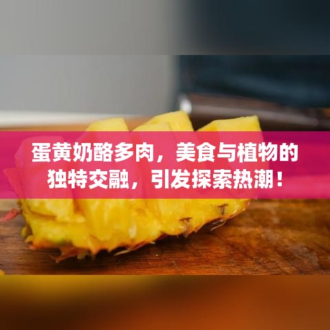 蛋黃奶酪多肉，美食與植物的獨特交融，引發探索熱潮！