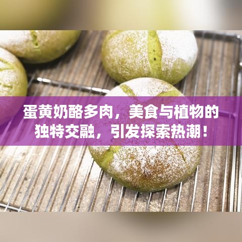 蛋黃奶酪多肉,美食與植物的獨特交融,引發(fā)探索熱潮!