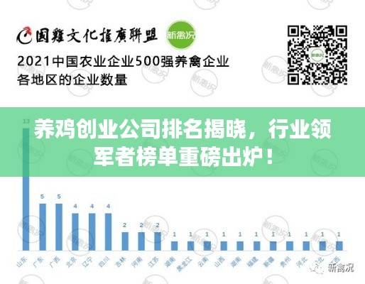 養(yǎng)雞創(chuàng)業(yè)公司排名揭曉,行業(yè)領(lǐng)軍者榜單重磅出爐!