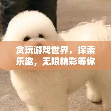 貪玩游戲世界，探索樂趣，無限精彩等你發現！