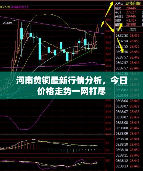 河南黃銅最新行情分析，今日價格走勢一網打盡