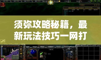 須彌攻略秘籍,最新玩法技巧一網打盡!