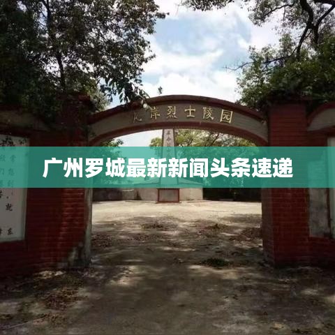 廣州羅城最新新聞頭條速遞