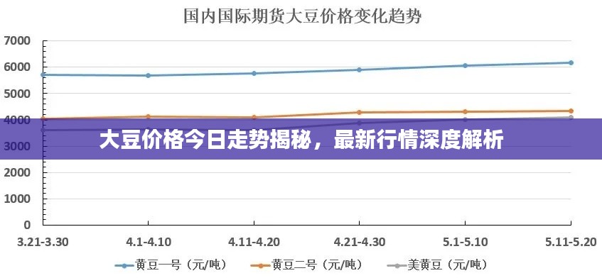 大豆價格今日走勢揭秘,最新行情深度解析